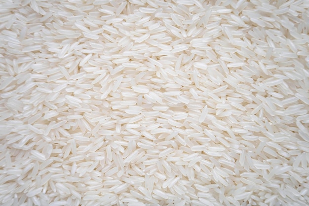 Jasmine rice grains background Khao hom mali