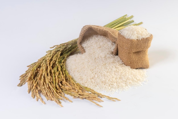 Jasmine rice in a sack and ears of rice on a white background