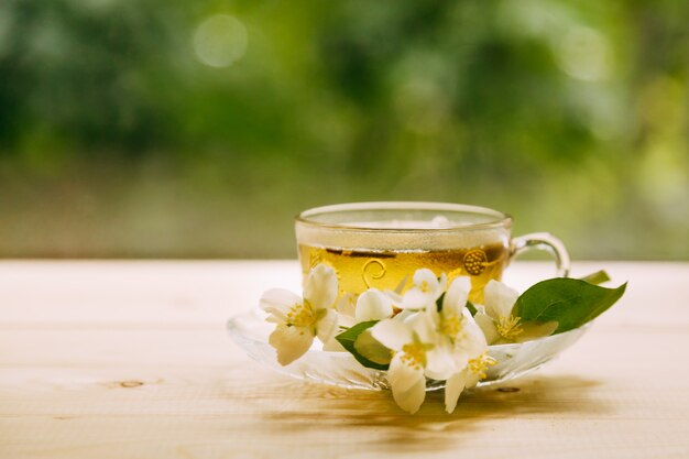 Jasmine tea in soft warm evening light with fresh jasmine flowers