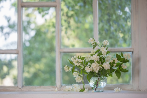 Jasmine in vase on windowsill