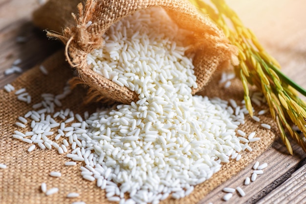 Riso bianco al gelsomino in sacco e risaia gialla raccolta sul tavolo di legno, riso raccolto e concetto di cottura dei cereali