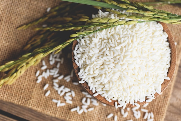 Белый жасминовый рис в деревянной миске и собранные желтые рисовые рисовые поля на мешке, концепция приготовления урожая риса и продовольственного зерна