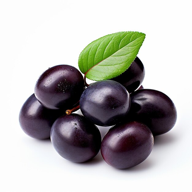 Java plum elegance isolated beauty