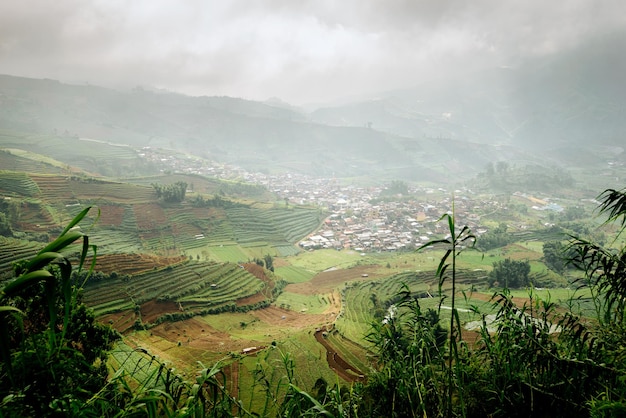 Javanese Rural Landscape