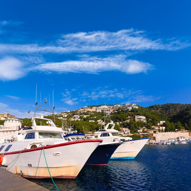 Javea Xabia fisherboats in port at Alicante Spain