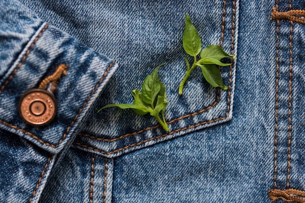 Jeanszak op een jasje met een mouw een achtergrond, lentebloemen, groene bladeren erop