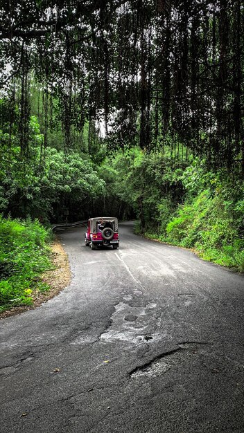 Photo jeep traveling into a forest