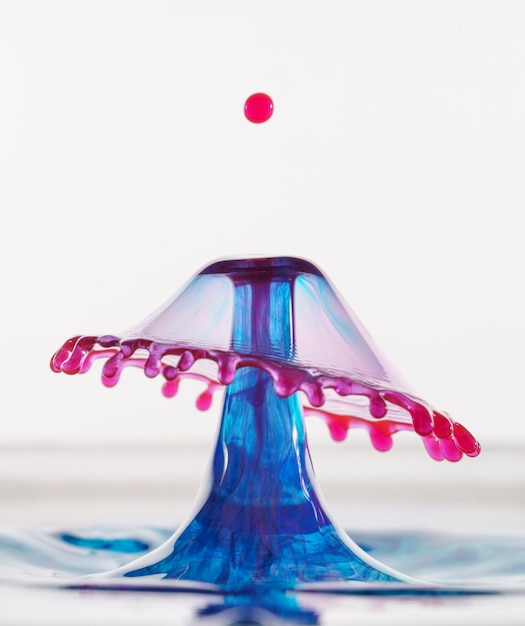 Foto jellyfish - druppel