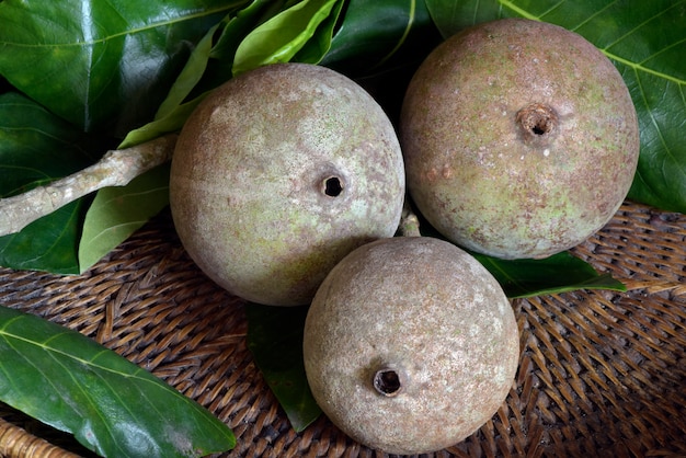 Jenipapo fruit with leaves in wicker basket