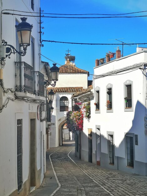 Photo jerez street in zafra province of badajoz