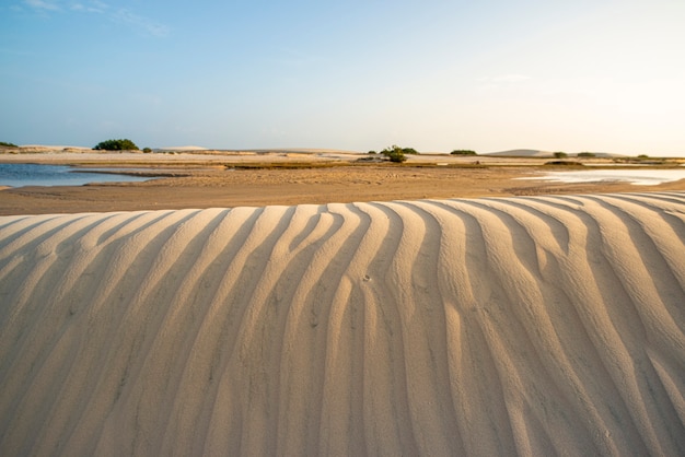 Jericoacoara 해변 Ceara 브라질 모래 언덕 아침에 태양에 의해 조명