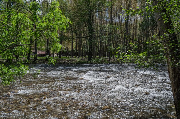 Jerte river in spring Spain