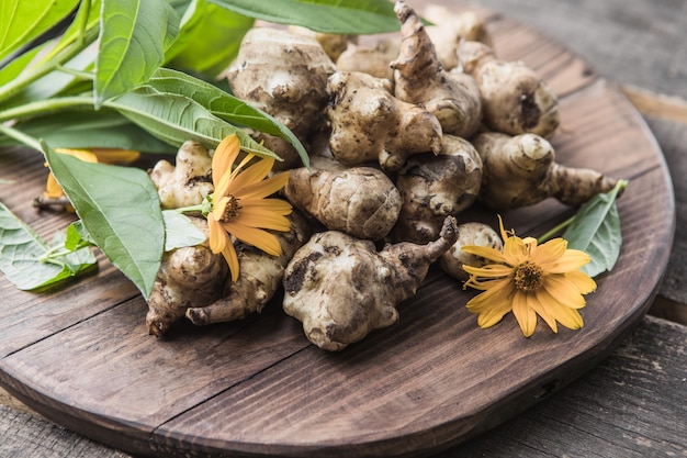 Jerusalem artichoke tubers. Freshly harvested roots of Helianthus tuberosus, also known as sunroot, sunchoke, earth apple, topinambur or lambchoke. Used as a root vegetable.