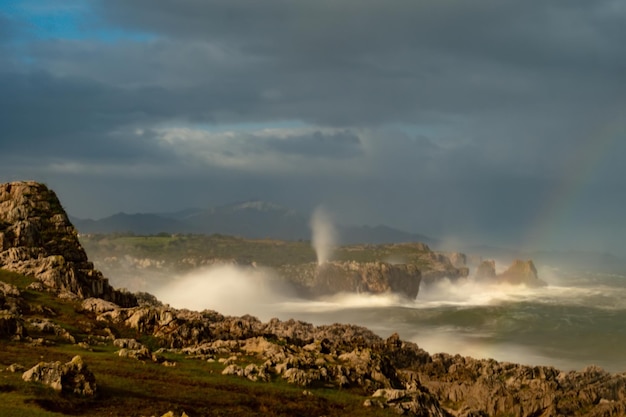 Jesters from cabo de san antonio on the asturian coast