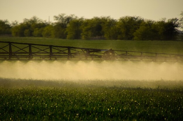 Photo jets of liquid fertilizer from the tractor sprayer