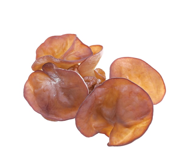 Photo jew's ear, wood ear, jelly ear isolated on white background.top view