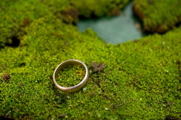 Photo jewelery ring on green moss