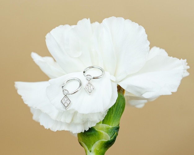 Jewelry earrings on white background isolated