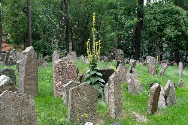 Jewish old cemetery in prague