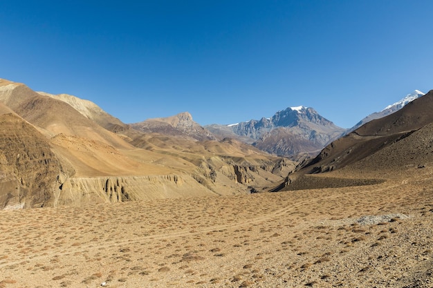 Photo jhong khola river and yakwakang mountain. mustang district, nepal