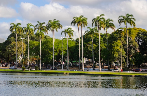 Joao Pessoa Paraiba 브라질 Parque Solon De Lucena 석호의 전망