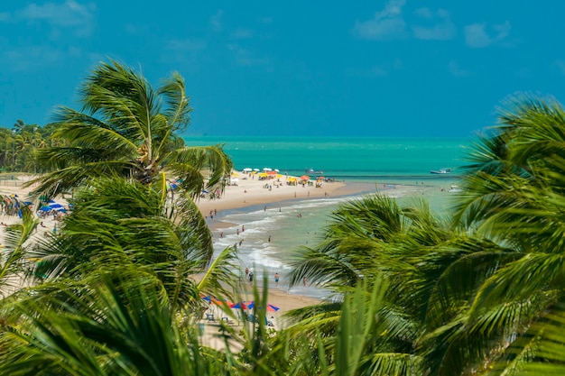 Photo joao pessoa paraiba state brazil tambau beach