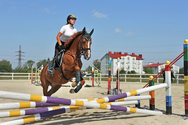 Ragazza fantino in fattoria con il suo cavallo