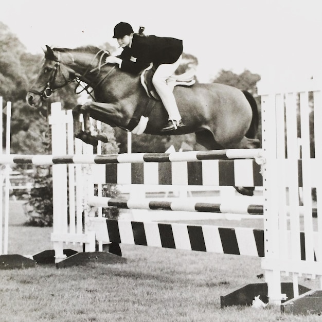 Jockey riding horse over hurdle