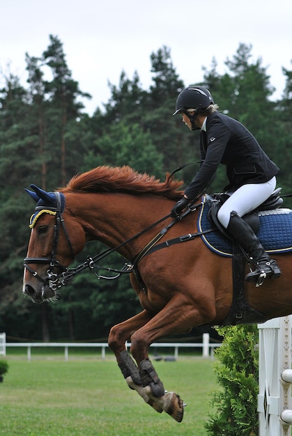 Фото Жокей с лошадью, прыгающей на препятствиях