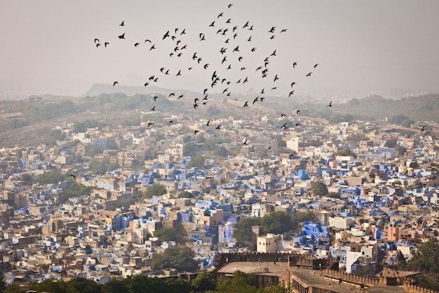 Jodhpur blauwe stad, foto is gemaakt vanuit Mehrangarh Fort gezichtspunt, Rajasthan, India