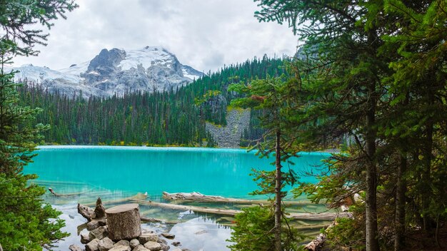 Joffre lakes british colombia whistler canada colorful joffre lakes national park in canada