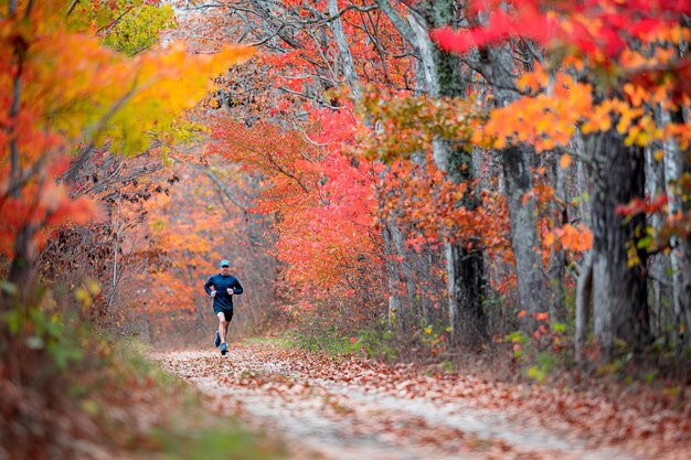 Photo a jogger in athletic running in a picturesque autumn setting