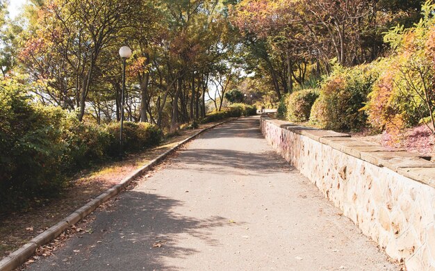 도시 공원에서 조깅과 자전거 도로. 가을 시간