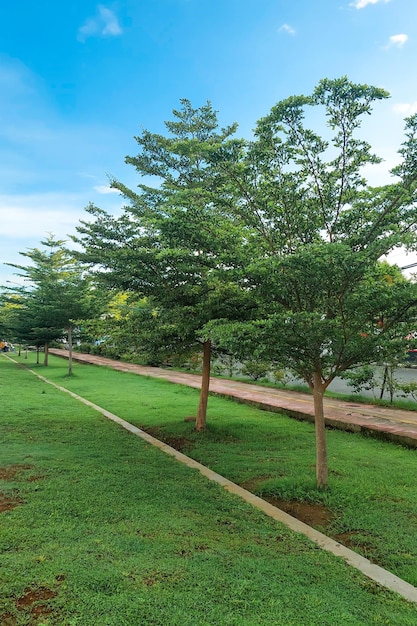 jogging path in a park in Gowa Indonesia