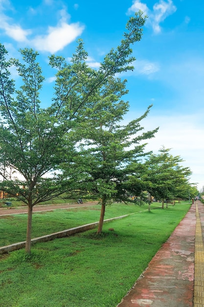 jogging path in a park in Gowa Indonesia