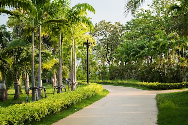 Jogging track at the green park