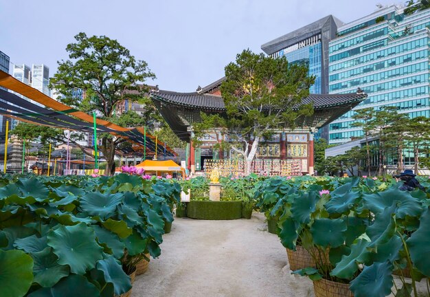 Photo jogyesa temple in seoul south korea