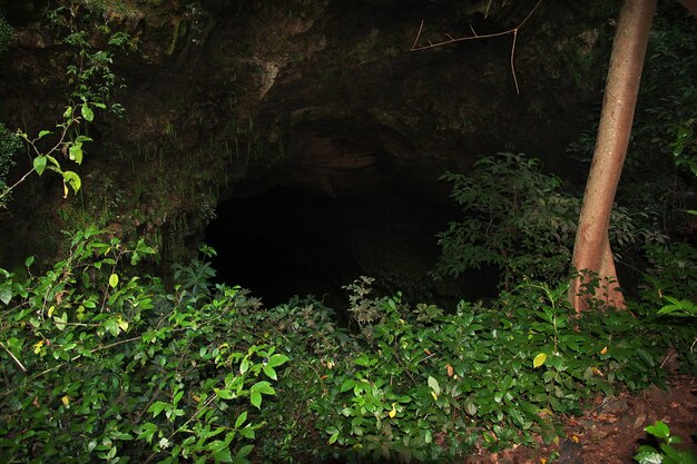 Grotta di jomblang vicino alla città di yogyakarta, java, indonesia