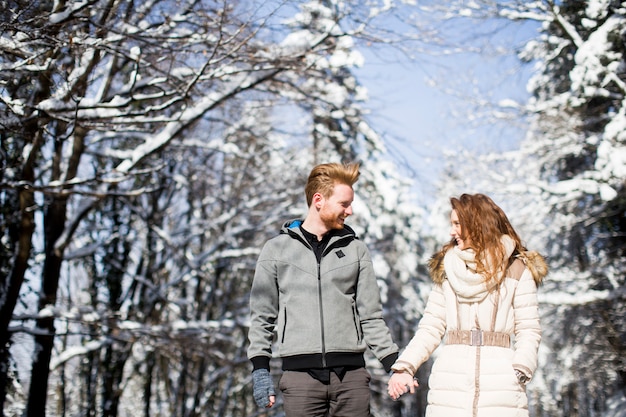 Jong koppel op winter bos