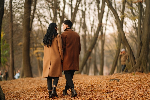 Jong koppel verliefd wandelen in het park op een herfstdag