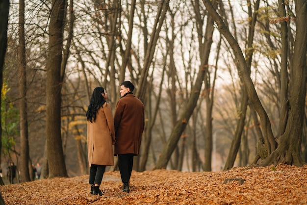 Jong koppel verliefd wandelen in het park op een herfstdag