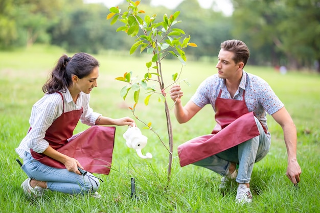 Jong koppel vrijwilligers die een nieuwe boom in het park planten