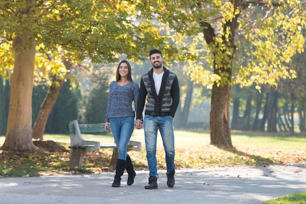 Jong koppel wandelen in het herfstbos