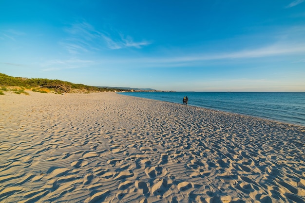 Jong koppel wandelen op het strand bij zonsondergang