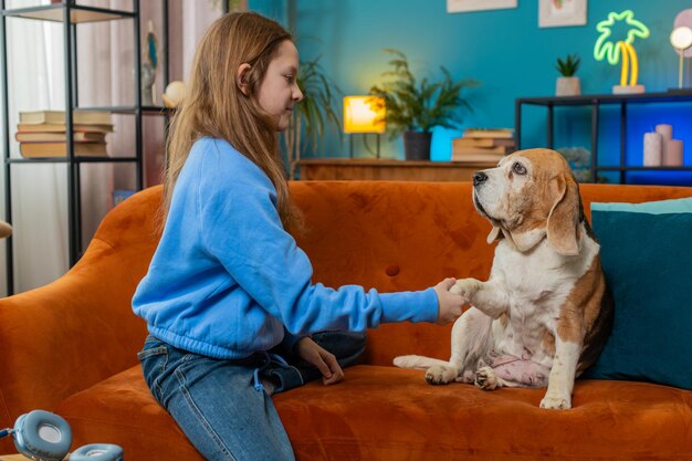 Jong meisje dat schattige beagle hondentrucs leert en traint met huisdieren te spelen op de bank in de kamer