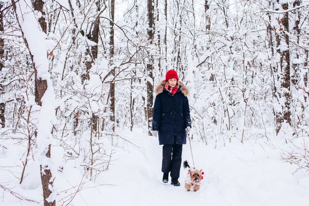 Jong meisje loopt in de lagere bossen in de winter met hond die een kerstmuts draagt