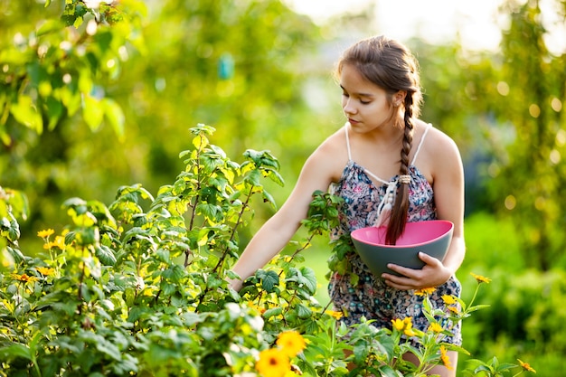 Jong meisje oogsten in de tuin