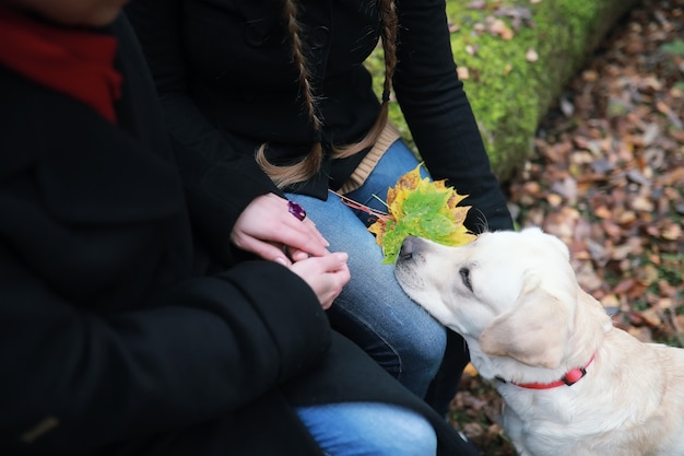 Jong meisje op een wandeling in de herfsttuin