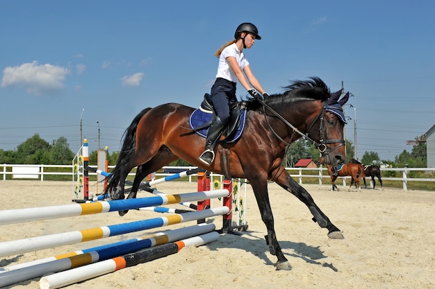 Jong meisje op haar baaipaard springt over een barrière op training.