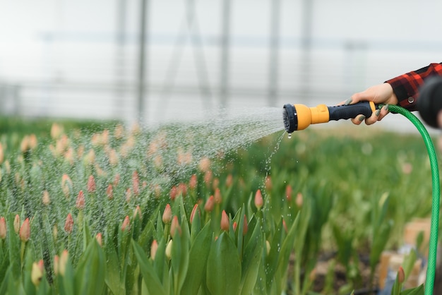 Jong meisje, werknemer met bloemen in kas